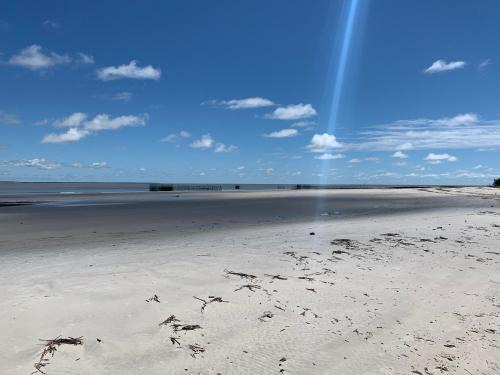 Maracana House | FlowMove Algodoal