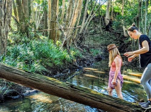 Bunyah Bed & Breakfast | Forest Creek Retreat
