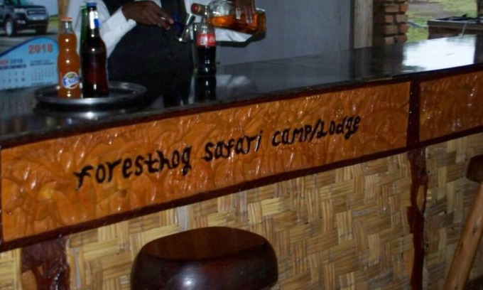 Kasese Cabin | Forest Hog Safari Lodge