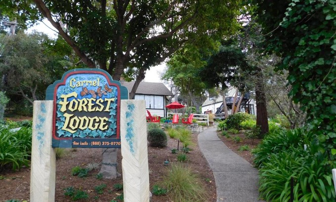 Southeast Carmel Cabin | Forest Lodge