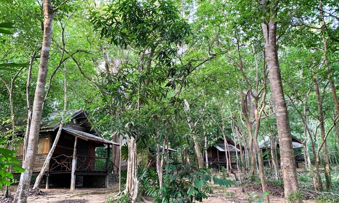 Nuea Khlong House | Foresta Cottage of Koh Pu no6195