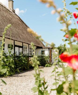 Maribo House | Forester's House By The Forest And Lake