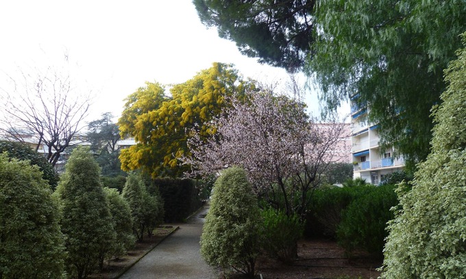 Frejus Plage Apartment | forget your car during your holidays