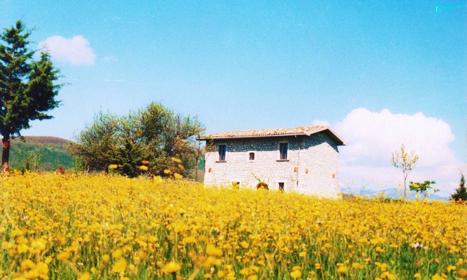 Forli del Sannio Villa | Forli Del Sannio: Mansion - Forlì del Sannio