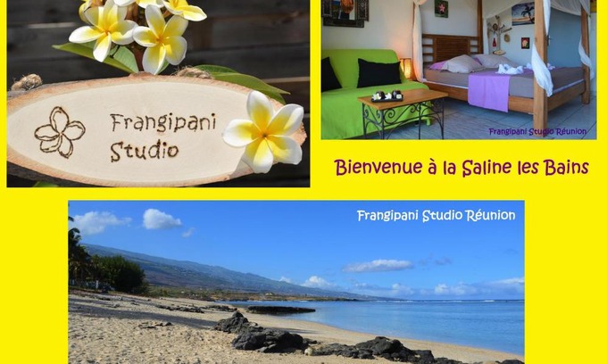 St Gilles-les-Bains Apartment | Frangipani Studio Réunion