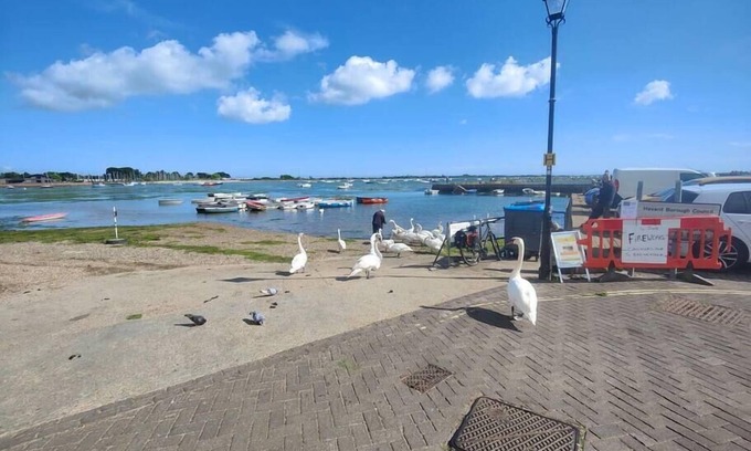 Emsworth House | Frankland - Emsworth 3 Bedroom