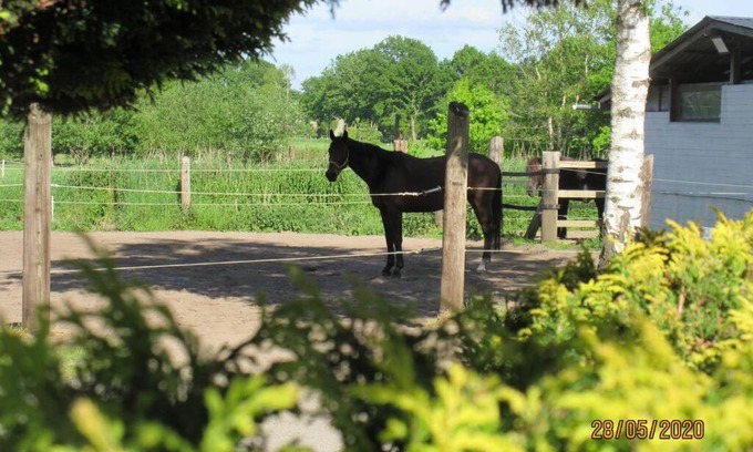 Hollen Apartment | Frisch renovierte Ferienwohnung auf idyllischem Pferdehof