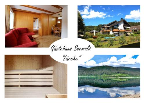 Blasiwald Apartment | Gästehaus Seewald- Ferienwohnung 4 "Lärche", Schluchsee, Blasiwald