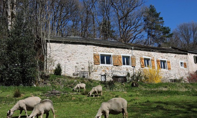 Montredon-Labessonnie House | Gîte LA FENIAL