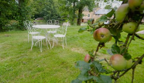 Warnecourt Apartment | Gîte le Moulin de Warnécourt