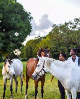 Malindi Other | Galloping Adventures