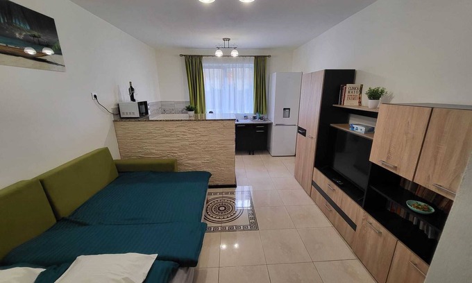 Sibiu Apartment | Garsoner Green Home