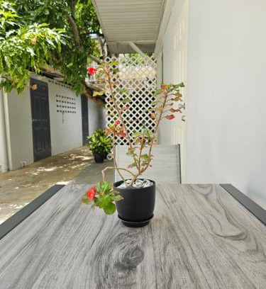 San Juan Apartment | Gated Riverside Studio Apartment