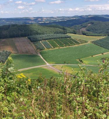 Stockum Apartment | gemütliche Dachgeschoss- Ferienwohnung im Grünen