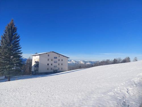Zwischenwasser Apartment | Gemütliche Wohnung mit Talblick