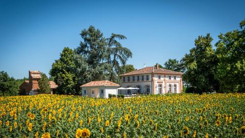Lacourt-Saint-Pierre House | Gite ANDA- piscine- Montauban - Lacourt-Saint-Pierre