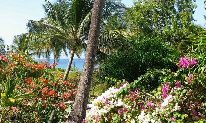 Malendure House | GITE COLIBRI VUE MER - DIRECT BEACH ACCESS - 80 M