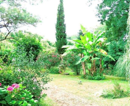 Buanes Apartment | Gite Matilon, 5 min Eugénie les Bains