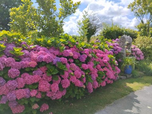 Plouhinec House | gite proche de la ria d'ETEL