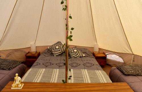 Longavi Other | Glamping Alma de montaña en Achibueno con tinaja privada