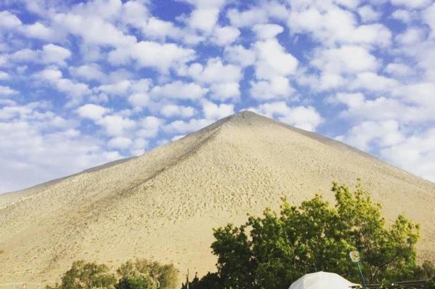 Vicuna Other | Glamping Viñas de Elqui