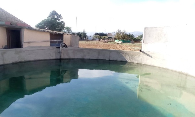 Reus Villa | Global Villa Paquita, house with bbq and pool