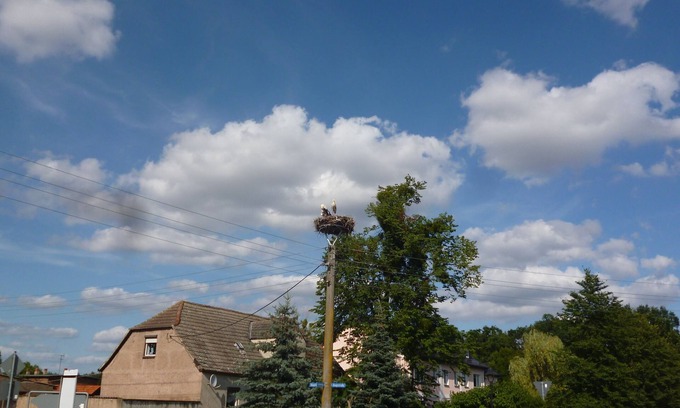 Dornburg House | Go on vacation where the sea eagle hogs and the storks breed.