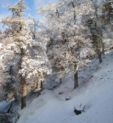 Arantzazu House | Goiko-Benta Ostatua