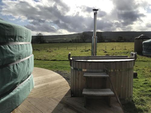 Hawes House | Goldfinch