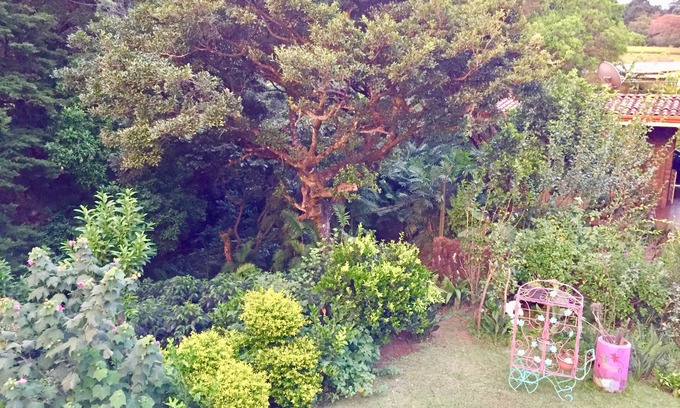 Heredia Bed & Breakfast | Gosen B&B