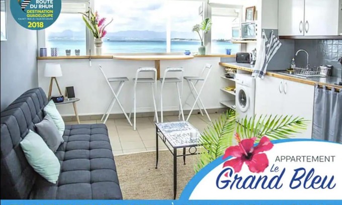 Pointe de la verdure Apartment | Grand bleu-Superbe T2 vue mer & accès plage