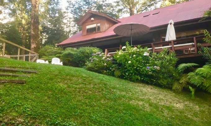 Pucon House | Great house with pool and native trees: special for the solar eclipse