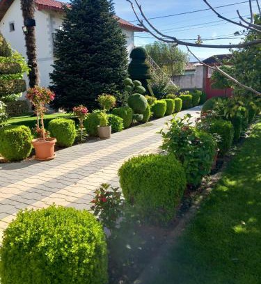 Elbasan House | Green House