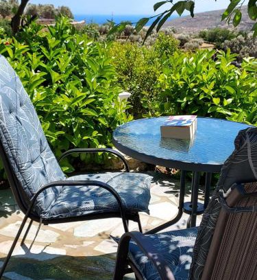 Andros Town Apartment | Green Oasis 3