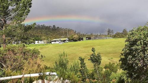 Knysna Apartment | Green room