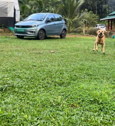 Kanjirappally House | “Green Thumb Farm Stay”