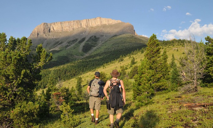 Choteau House | Grizzly Suite at Rocky Mountain Front Retreat - Harmony in paradise