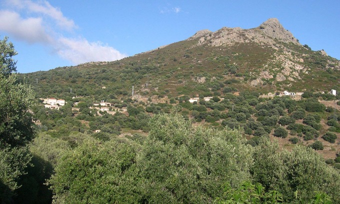 Corbara Apartment | Ground floor in property with swimming pool in maquis 5 min Ile Rousse 2 pers