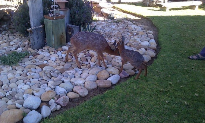 De Hoop House | Grysbok Self Catering Accommodation