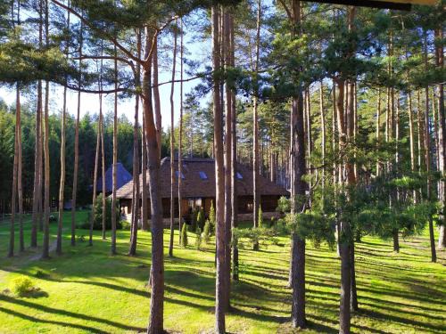 Plavniekkalns Resort | Gungas