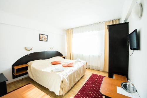 Busteni Hotel | Gura Diham