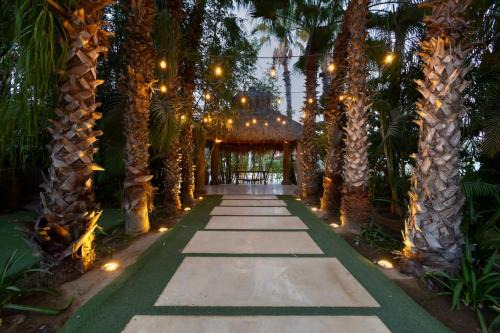 San Jose del Cabo House | Hacienda Tropical - Oasis of History and Nature