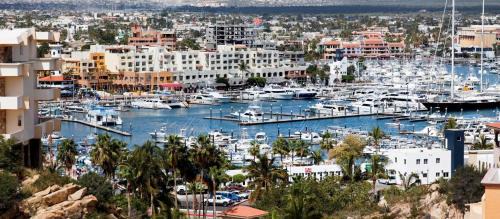 Centro Apartment | Harbour Junior suites