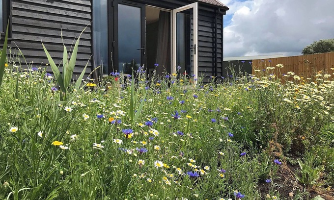 Huntingdon Cottage | Hare Lodge - UK30604