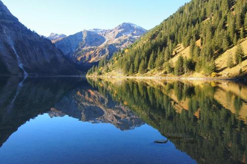 Graen Apartment | Haus Bergwelt