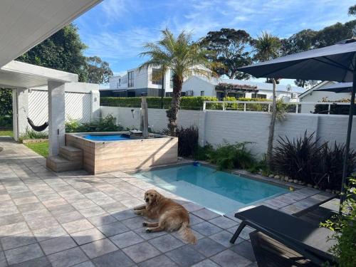 Knysna House | Herons House