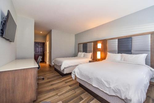 The Bight Apartment | Hidden Haven II - 2 Bed Studio Condo