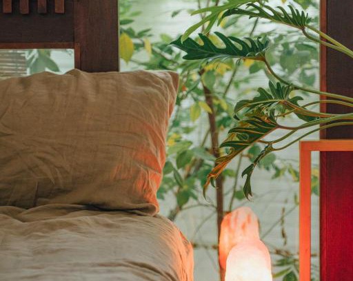 Binh Thanh House | Hidden Urban Tree House