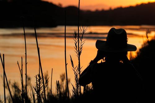 Phalaborwa Other | Hideaways Amava River Lodge, Balule, Greater Kruger