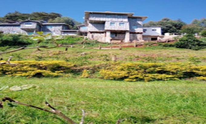 Eastleigh Hotel | Hills Dacha